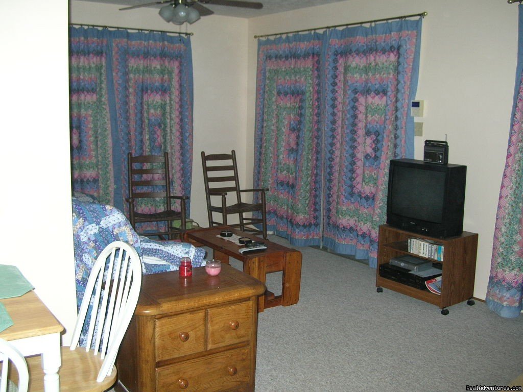 Living Room w/ Satellite TV/VCR/DVD | Smoky Mountain Cabin w/ great views - Cherokee NC | Image #2/4 | 