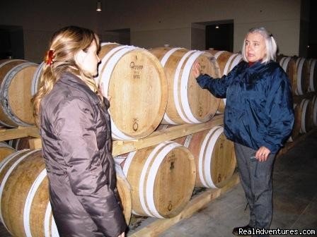 Visit to Brolio Winery