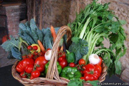 Vegetables for Tuscan Soup | Toscana Mia | Image #19/24 | 
