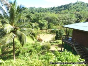 3 Rivers Eco Lodge | St. David, Dominica | Hotels & Resorts