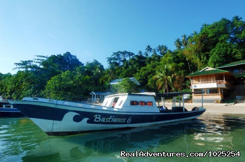 Bastianos Diving Resort at Bunaken: Diving the great walls of Bunaken 