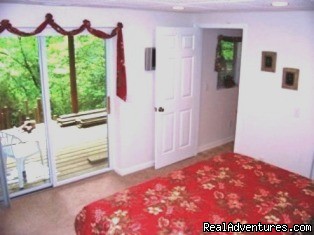 An Acre of Creek Front Privacy in the No. Ga. Mtns: Photo #7