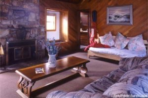Bear Cabin Rentals | Big Bear, California | Vacation Rentals