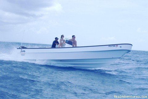 Island Cruiser Photo 3 | Puerto Rico Boat Rentals & Island Hopping | Image #3/4 | 
