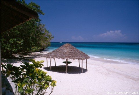 Frankfort Villa  Private Beach | Villas Of Ocho Rios, Jamaica | Image #5/23 | 