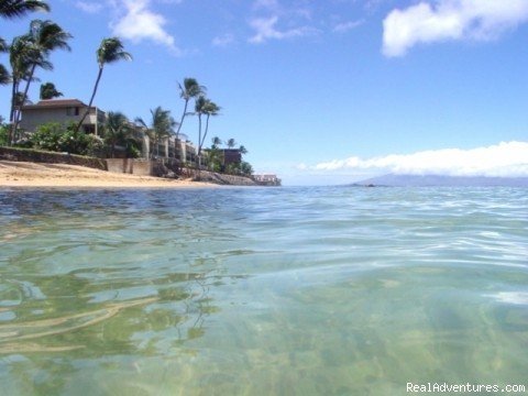 Lokelani A 205  -  15 Steps to the Ocean | Maui Condo Rental - OCEANFRONT - &Lokelani 2Br& | Lahaina, Hawaii  | Vacation Rentals | Image #1/26 | 