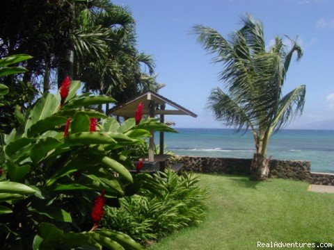 Maui Condo Rental - OCEANFRONT - &Lokelani 2Br& | Image #11/26 | 