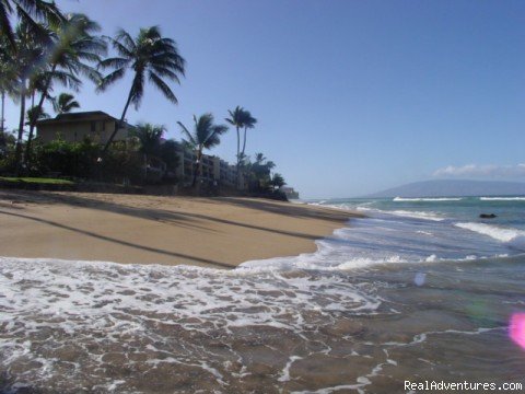 Maui Condo Rental - OCEANFRONT - &Lokelani 2Br& | Image #12/26 | 