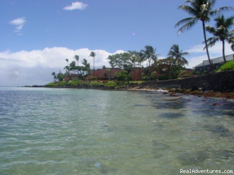 Maui Condo Rental - OCEANFRONT - &Lokelani 2Br& | Image #16/26 | 