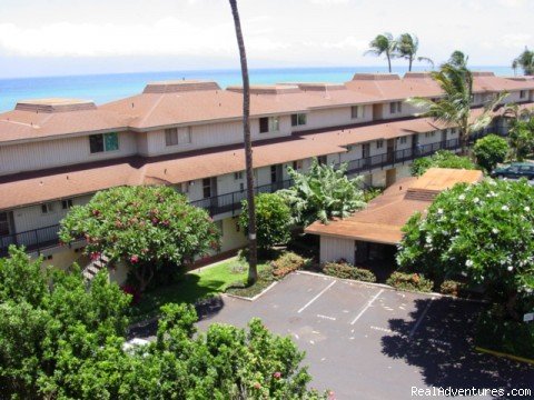 Maui Condo Rental - OCEANFRONT - &Lokelani 2Br& | Image #19/26 | 