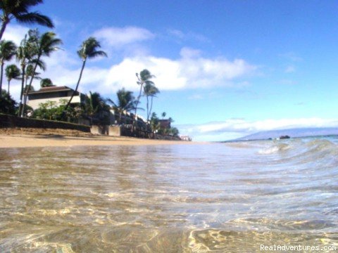 Maui Condo Rental - OCEANFRONT - &Lokelani 2Br& | Image #24/26 | 