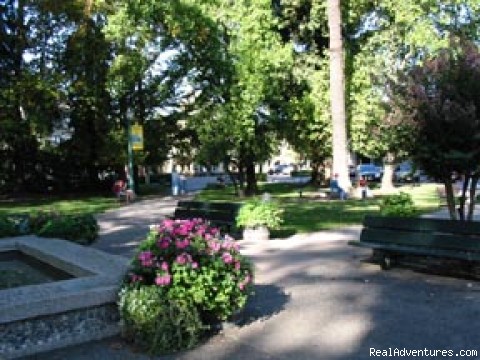While in Healdsburg, I strolled around the town square with a beautiful park 