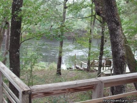 Suwannee River Cabin: View of river and dock with tire swing in yard