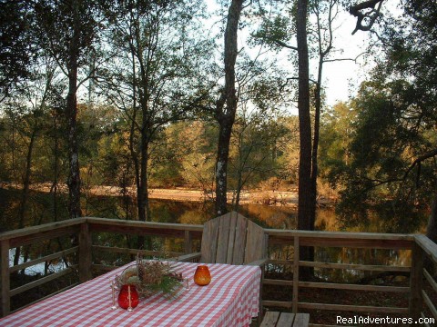 Suwannee River Cabin: Back deck overlooking the river