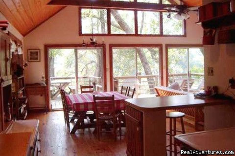 Suwannee River Cabin: Photo #6