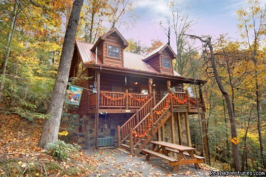 Big Bear Lodge | America's 1 Overnight Rental Company | Pigeon Forge, Tennessee  | Vacation Rentals | Image #1/8 | 