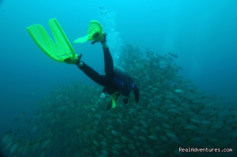 Rich Coast Diving, Costa Rica Photo