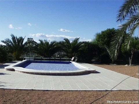 10x5 metre Swimming Pool and Grounds | La Marina 4-Bedroom Villa with Own Pool | Image #5/8 | 
