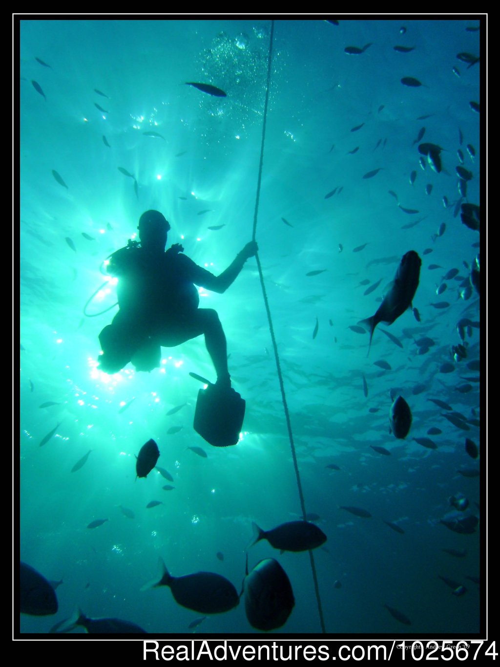 Diver descending down the line | Divewise | San Giljan, Malta | Scuba Diving & Snorkeling | Image #1/12 | 
