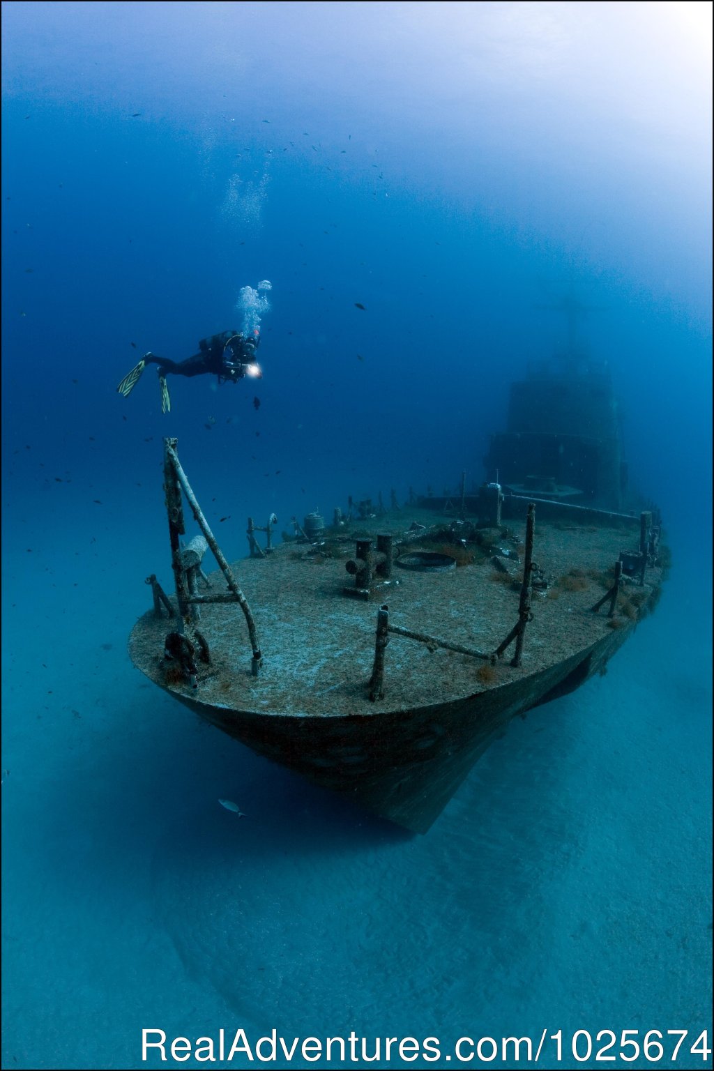 Wreck Diving | Divewise | Image #12/12 | 