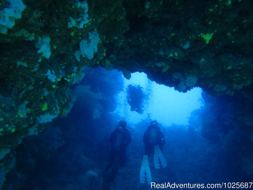 Diving | Scuba Dive at Tiliva Resort in Kadavu Fiji | Image #6/20 | 