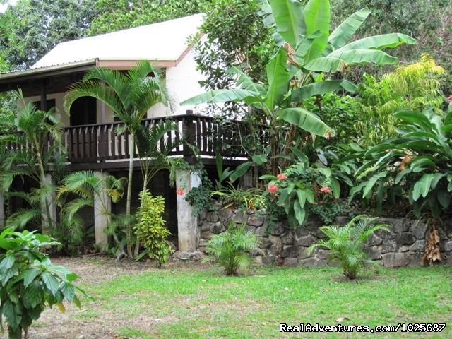 One the garden bures | Scuba Dive at Tiliva Resort in Kadavu Fiji | Image #17/20 | 