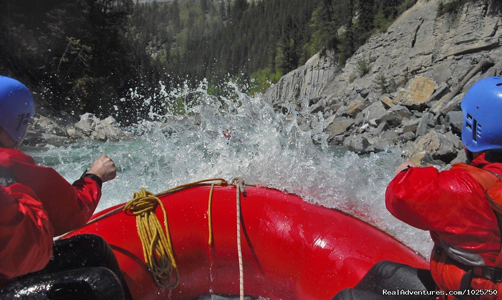 Whitewater Faceshot! | Whitewater Rafting | Golden, British Columbia  | Rafting Trips | Image #1/14 | 