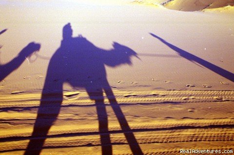 Camel Shadows | Camel Trip in Merzouga Sahara Desert Morocco | Image #3/18 | 