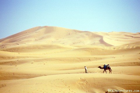 Camel Walking | Camel Trip in Merzouga Sahara Desert Morocco | Image #4/18 | 