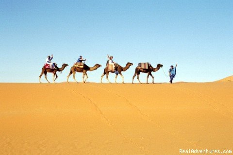 Here we go!! | Camel Trip in Merzouga Sahara Desert Morocco | Image #5/18 | 