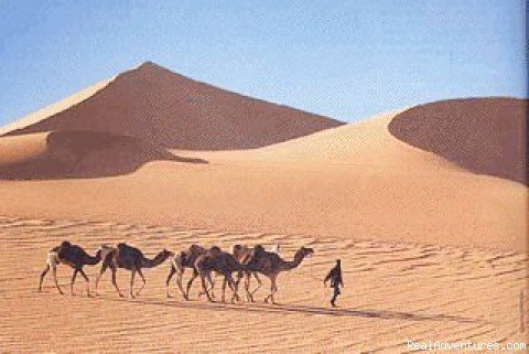 Camel Caravan near Merzouga | Camel Trip in Merzouga Sahara Desert Morocco | Image #12/18 | 