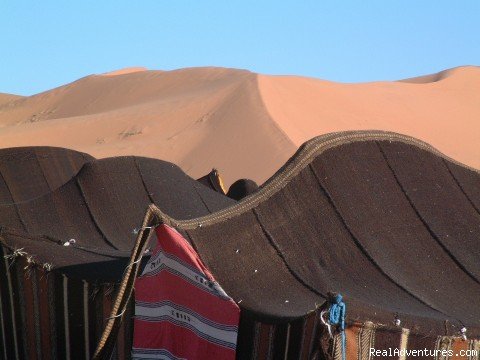 Nomad Tents in Sahara | Camel Trip in Merzouga Sahara Desert Morocco | Image #15/18 | 