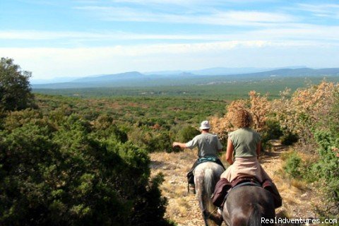 Photo #1 | Les Cypres De L'etang | Salernes en Provence, France | Horseback Riding & Dude Ranches | Image #1/14 | 