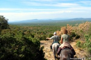 Les Cypres De L'etang | Salernes en Provence, France | Horseback Riding & Dude Ranches