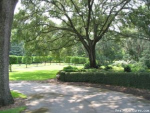 A Change of Pace in Sunny Central Florida | Bartow, Florida, Florida | Articles