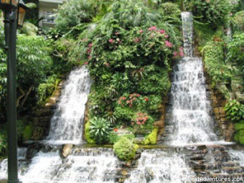 Waterfalls in Cascades Atrium