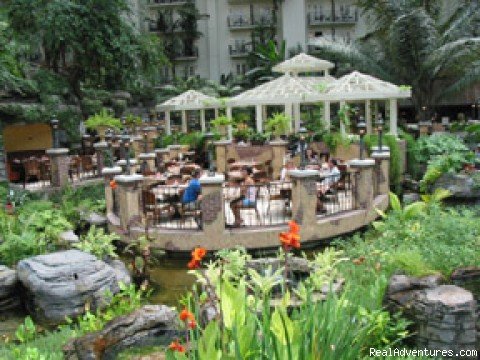 Dining in Cascades Atrium | Gaylord Opryland offers guests a unique vacation | Image #3/7 | 