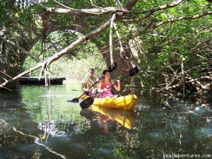 Purveyors of Uncommon Adventures | Coral Gables , Florida | Sight-Seeing Tours