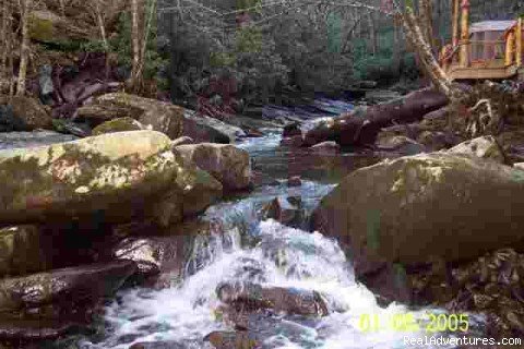 And a creek runs through it (White Oak Creek)