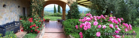 B&B set among olive trees and flowers Photo