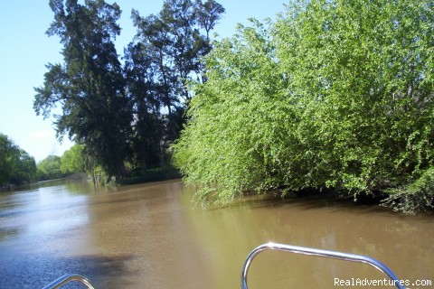  Buenos Aires Tigre Delta islands unforgettable Photo