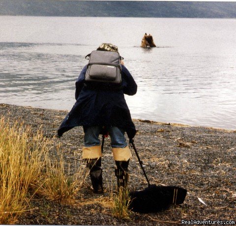 Kodiak Brown Bear Viewing | Incredible Fishing at the Larsen Bay Lodge | Image #3/5 | 