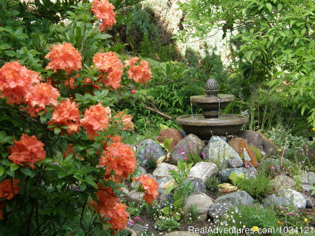 Fountains and azaleas | Cedar Wood Lodge Bed & Breakfast Inn | Image #24/26 | 