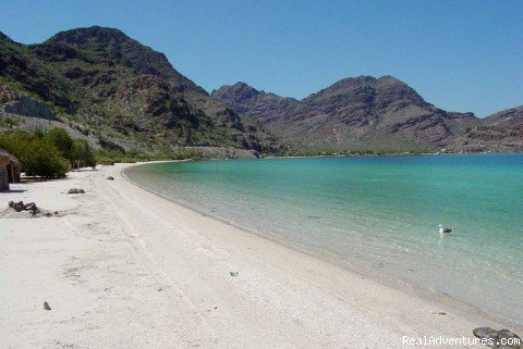 White Sandy Beaches of Bahia Concepcion | Tour Mexico's Baja Peninsula by Motorcycle | Baja California, Mexico | Motorcycle Tours | Image #1/24 | 