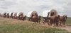 Family Adventure on Genuine Covered Wagon Train | Jamestown, North Dakota