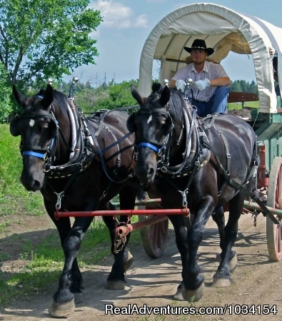 Family Adventure on Genuine Covered Wagon Train Photo