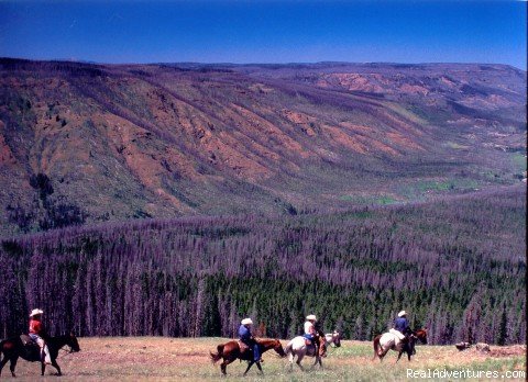 Lamar River Valley | Wilderness Horseback Pack Trips | Rapid City, South Dakota, Wyoming  | Horseback Riding & Dude Ranches | Image #1/23 | 
