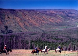 Wilderness Horseback Pack Trips