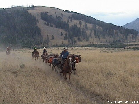 Heading out to the wild &wooly backcountry in YNP | Wilderness Horseback Pack Trips | Image #12/23 | 