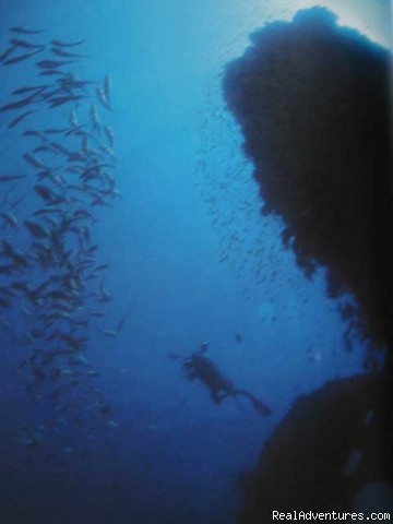 Dive Bali - PADI Scuba Dive Resort Bali Indonesia: Tulamben 